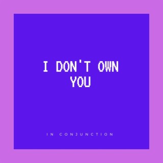 I Don't Own You