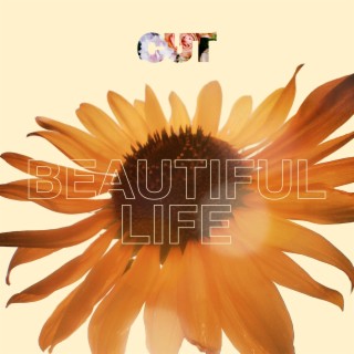 Beautiful Life lyrics | Boomplay Music