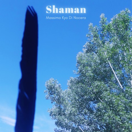 Shaman | Boomplay Music