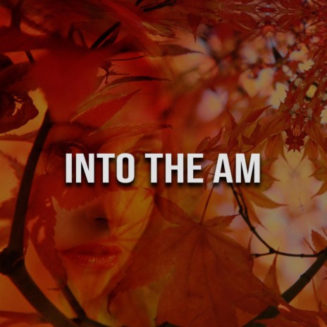 Into the AM | Boomplay Music