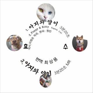 아지와 양이