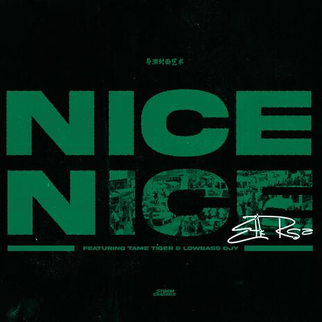 Nice Nice ft. Lowbass Djy & Tame Tiger | Boomplay Music