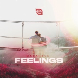 Feelings