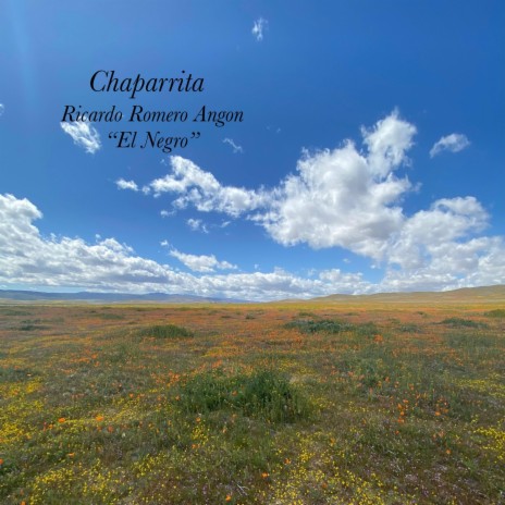 Chaparrita ft. Ricardo Romero Angon | Boomplay Music