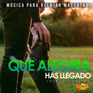 Que Alegría Has Llegado (Música Para Relajar Mascotas)