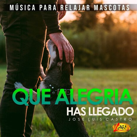 Que Alegría Has Llegado (Música Para Relajar Mascotas) | Boomplay Music