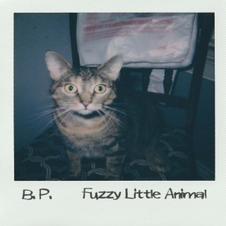 Fuzzy Little Animal