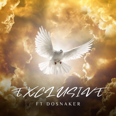 EXCLUSIVE ft. Dosnaker | Boomplay Music
