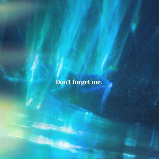 Don't Forget Me lyrics | Boomplay Music