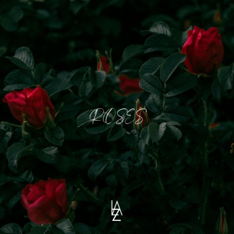 Roses | Boomplay Music