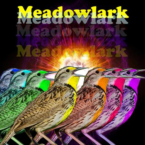 Meadowlark | Boomplay Music