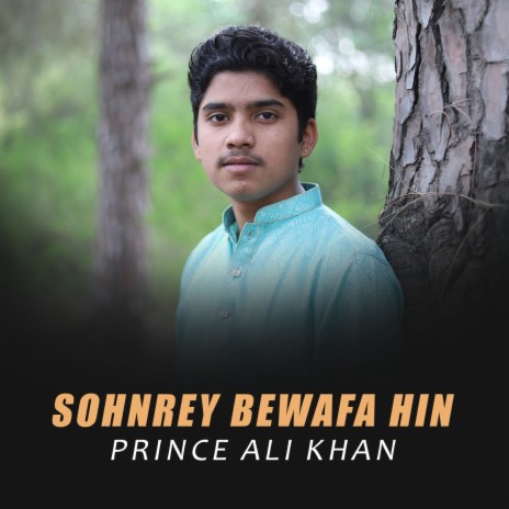 Sohnrey Bewafa Hin | Boomplay Music