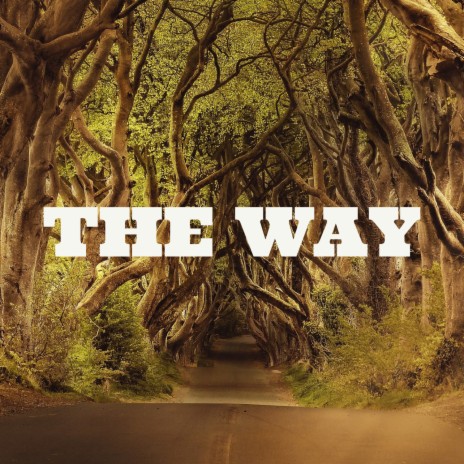 The Way | Boomplay Music