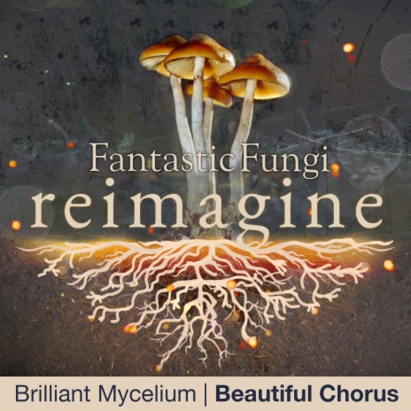 Brilliant Mycelium (Fantastic Fungi: Reimagine) | Boomplay Music