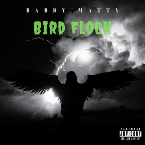 Bird Flock | Boomplay Music