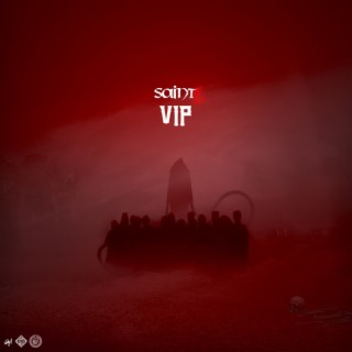 Saintz VIP