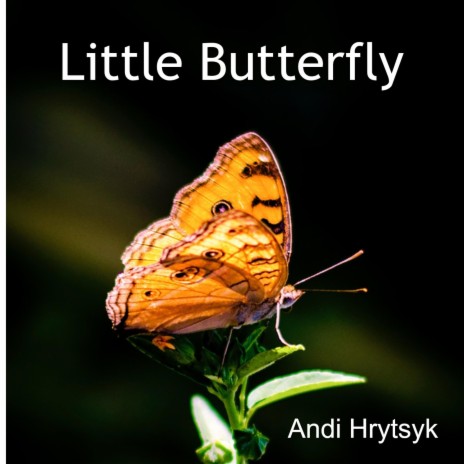 Little Butterfly | Boomplay Music