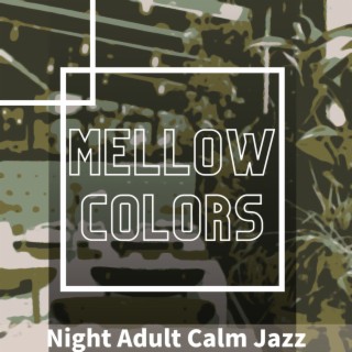 Night Adult Calm Jazz