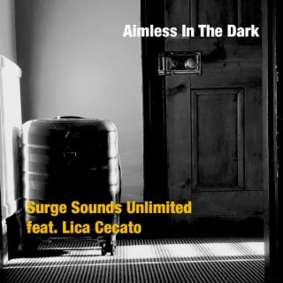 Aimless In The Dark ft. Lica Cecato lyrics | Boomplay Music