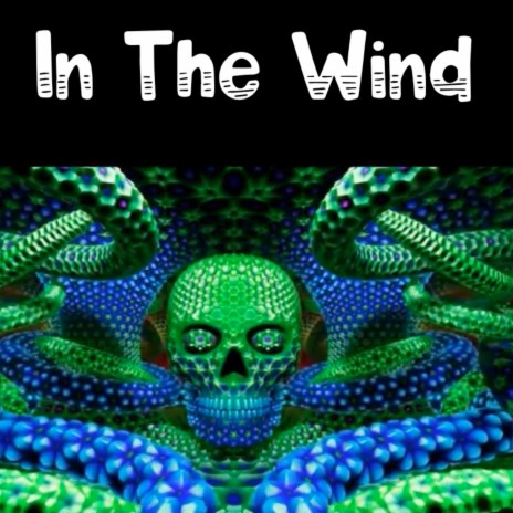 In The Wind | Boomplay Music