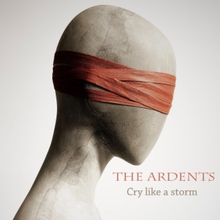 Cry like a storm