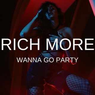 Wanna Go Party lyrics | Boomplay Music