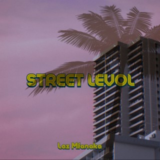STREET LEVOL
