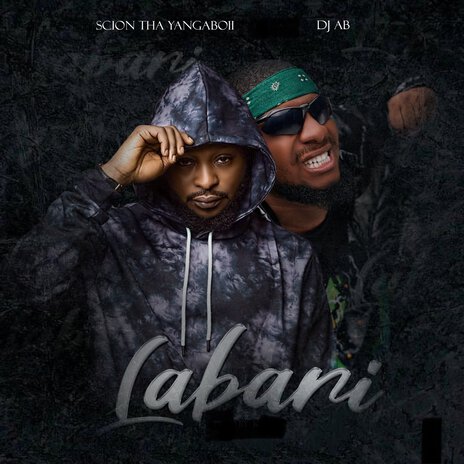 Labari ft. DJ Ab | Boomplay Music