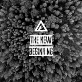 The New Beginning