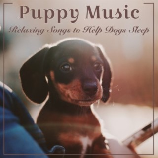 Puppy Music: Relaxing Songs to Help Dogs Sleep