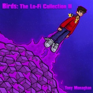 Birds: The Lo-Fi Collection II