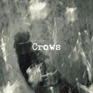 Crows (Silent Tourist Mix)