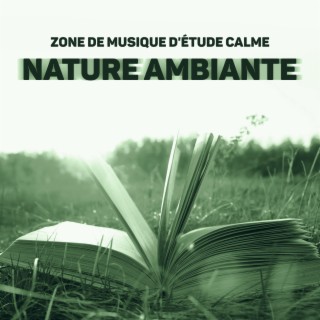 Zone de musique d'étude calme: Nature ambiante