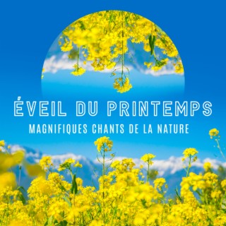 Éveil du printemps: Magnifiques chants de la nature. Belle musique de la nature pour votre tranquillité d'esprit, Détente et bonne humeur