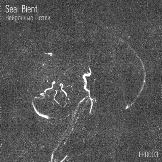 Seal Bient