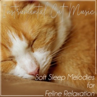 Instrumental Cat Music: Soft Sleep Melodies for Feline Relaxation