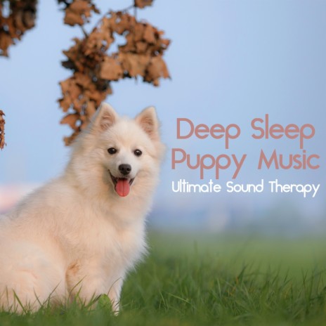 Happy Tails ft. Dog Music Dreams & Dog Music | Boomplay Music