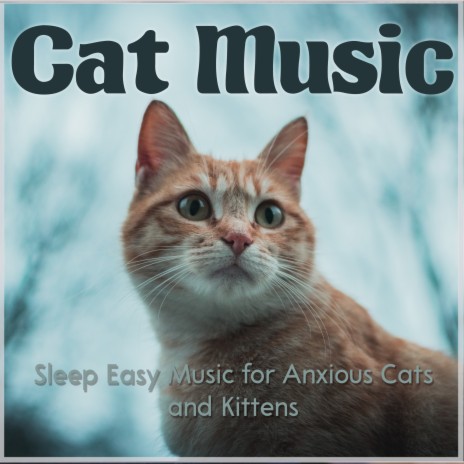 Music for anxious cats sale