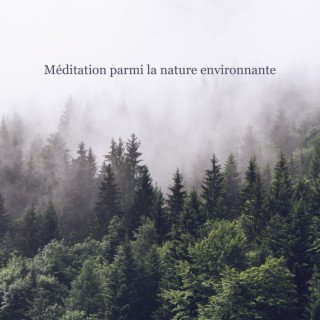 Méditation parmi la nature environnante. Belle musique relaxante, Exercice quotidien, Faire taire l'esprit