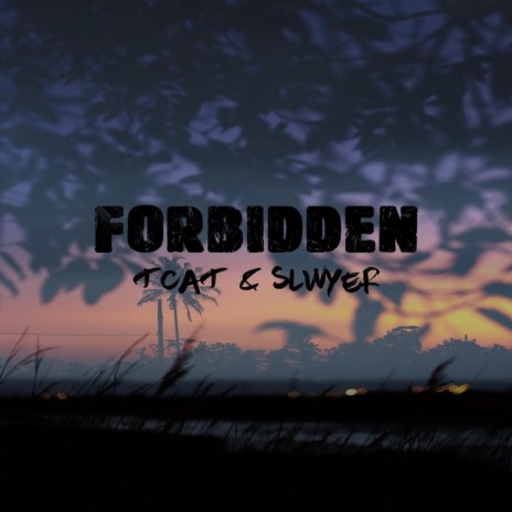 Forbidden ft. Slwyer | Boomplay Music