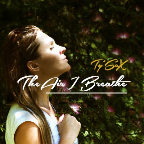 The Air I Breathe | Boomplay Music