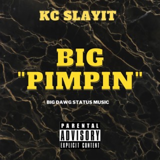 Big Pimpin lyrics | Boomplay Music