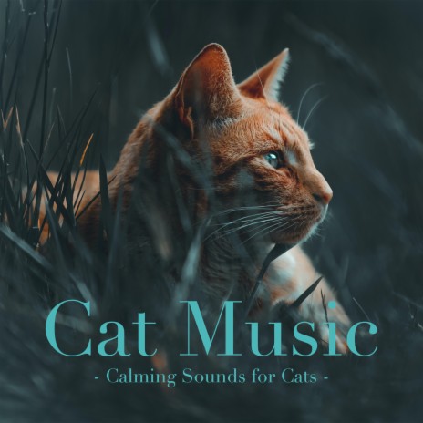 Feline Therapy ft. Cat Music & Cat Music Therapy
