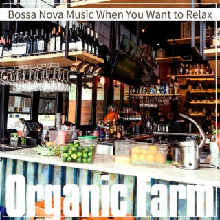 Bossa Nova Music When You Want to Relax