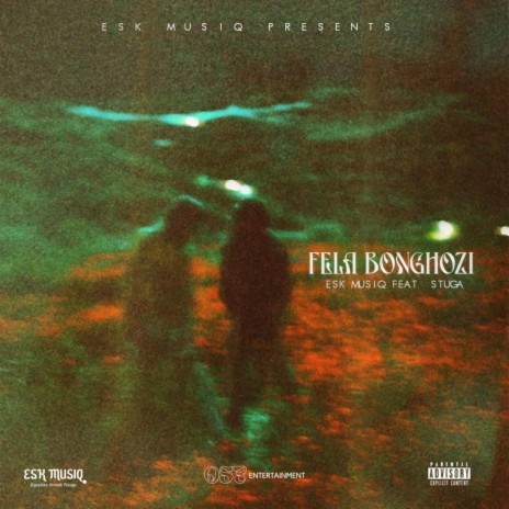 Fela Bonghozi ft. Stuga | Boomplay Music