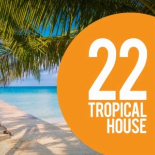 22 Tropical House