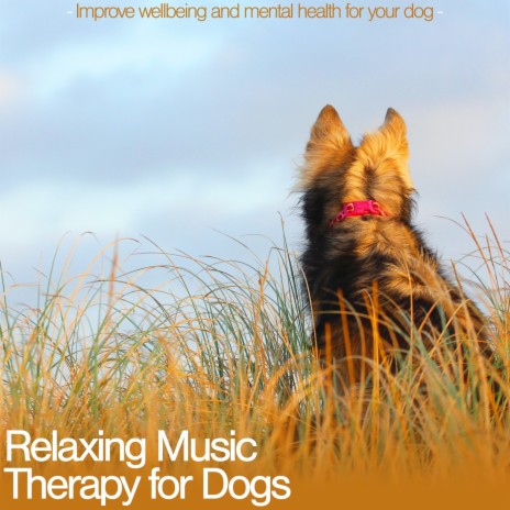 Greener Grass ft. Dog Music Therapy & Relaxmydog | Boomplay Music