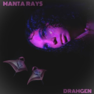 Manta Rays lyrics | Boomplay Music