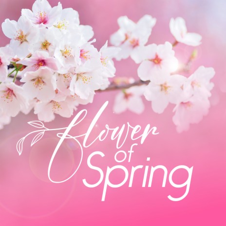 Flower of Spring | Boomplay Music