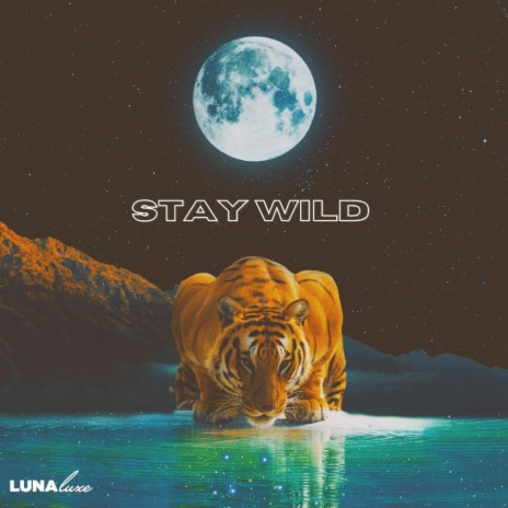 Stay Wild | Boomplay Music